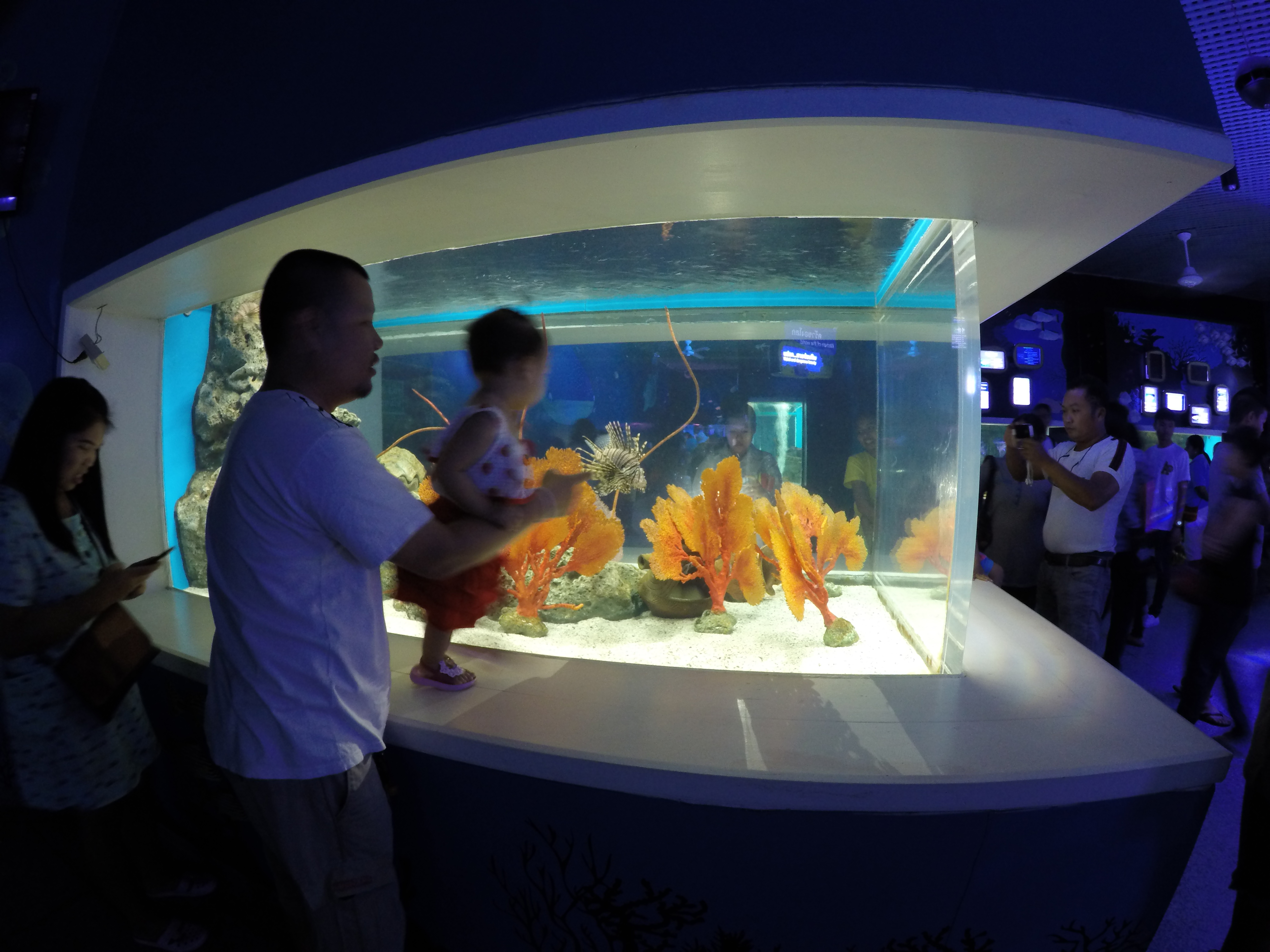 Display tanks at Burapha University Aquarium Bang Saen